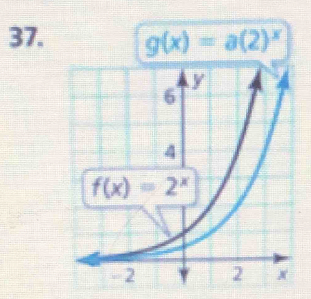 g(x)=a(2)^x