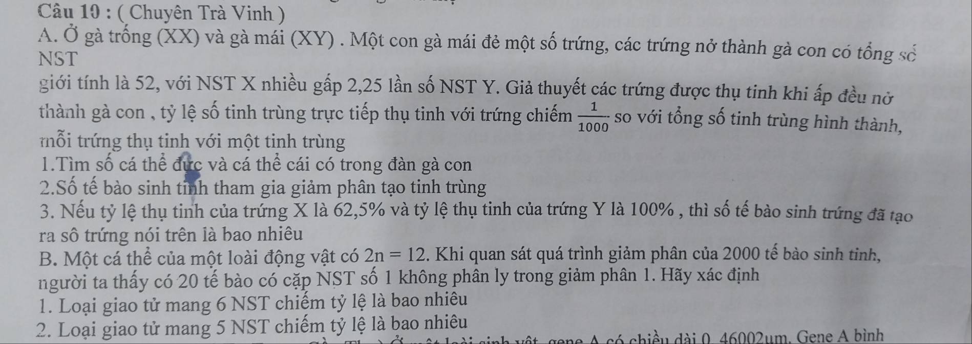 ( Chuyên Trà Vinh ) 
A. Ở gà trống (XX) và gà mái (XY) . Một con gà mái đẻ một số trứng, các trứng nở thành gà con có tổng số 
NST 
giới tính là 52, với NST X nhiều gấp 2, 25 lần số NST Y. Giả thuyết các trứng được thụ tinh khi ấp đều nở 
thành gà con , tỷ lệ số tinh trùng trực tiếp thụ tinh với trứng chiếm  1/1000  so với tổng số tinh trùng hình thành, 
trỗi trứng thụ tinh với một tinh trùng 
1.Tìm số cá thể đực và cá thể cái có trong đàn gà con 
2.Số tế bào sinh tinh tham gia giảm phân tạo tinh trùng 
3. Nếu tỷ lệ thụ tinh của trứng X là 62, 5% và tỷ lệ thụ tinh của trứng Y là 100% , thì số tế bào sinh trứng đã tạo 
ra sô trứng nói trên là bao nhiêu 
B. Một cá thể của một loài động vật có 2n=12. Khi quan sát quá trình giảm phân của 2000 tế bào sinh tinh, 
người ta thấy có 20 tế bào có cặp NST số 1 không phân ly trong giảm phân 1. Hãy xác định 
1. Loại giao tử mang 6 NST chiếm tỷ lệ là bao nhiêu 
2. Loại giao tử mang 5 NST chiếm tỷ lệ là bao nhiêu 
có chiều dài 0 46002um. Gene A bình