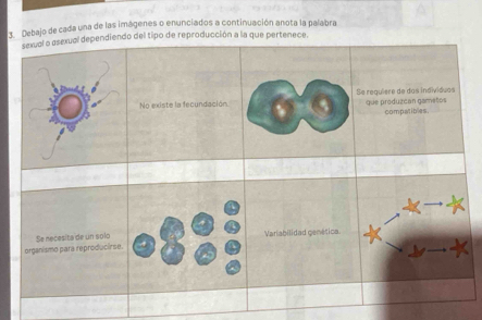 Debajo de cada una de las imágenes o enunciados a continuación anota la palabra