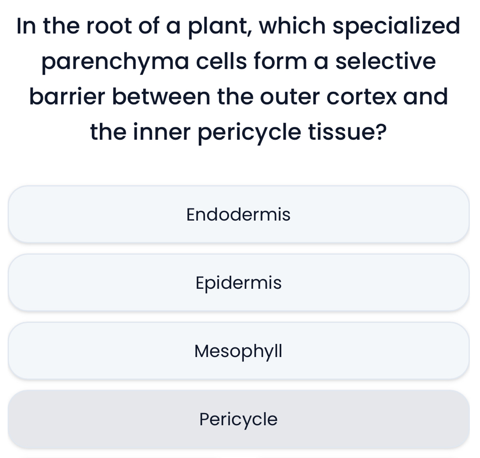 In the root of a plant, which specialized
parenchyma cells form a selective
barrier between the outer cortex and
the inner pericycle tissue?
Endodermis
Epidermis
Mesophyll
Pericycle