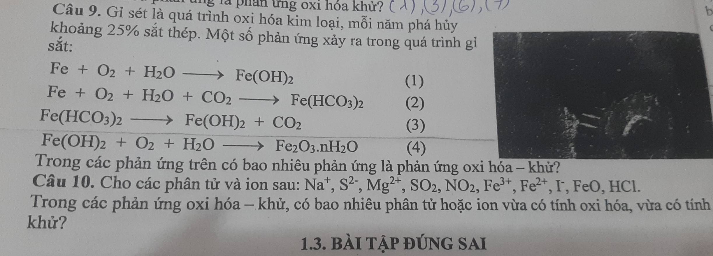 Tung là phần ứng 0x1 hóa khứ? 
in 
Câu 9. Gỉ sét là quá trình oxi hóa kim loại, mỗi năm phá hủy 
khoảng 25% sắt thép. Một số phản ứng xảy ra trong quá trình gỉ 
sắt:
Fe+O_2+H_2Oto Fe(OH)_2
(1)
Fe+O_2+H_2O+CO_2to Fe(HCO_3)_2
(2)
Fe(HCO_3)_2to Fe(OH)_2+CO_2
(3)
Fe(OH)_2+O_2+H_2Oto Fe_2O_3. nH_2O
(4) 
Trong các phản ứng trên có bao nhiêu phản ứng là phản ứng oxi hóa - khử? 
Câu 10. Cho các phân tử và ion sau: Na^+, S^(2-), Mg^(2+), SO_2, NO_2, Fe^(3+), Fe^(2+), FeO, HCl
Trong các phản ứng oxi hóa - khử, có bao nhiêu phân tử hoặc ion vừa có tính oxi hóa, vừa có tính 
khử? 
1.3. bÀI TẠp ĐÚNG SAI