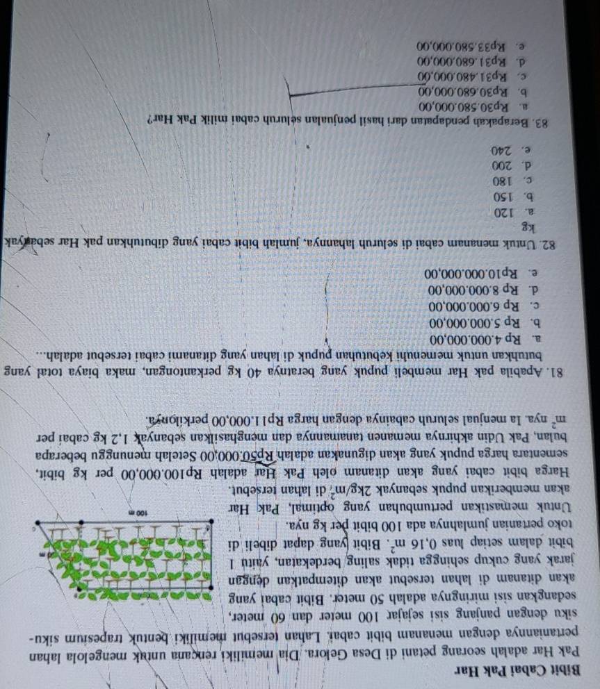 Bibit Cabai Pak Har
Pak Har adalah seorang petani di Desa Gelora. Dia memiliki rençana untak mengelola lahan
pertaniannya dengan menanam bibit cabai. Lahan tersebut memiliki bentuk trapesium siku-
siku dengan panjang sisi sejajar 100 meter dan 60 meter,
sedangkan sisi miringnya adalah 50 meter. Bibit cabai yang
akan ditanam di lahan tersebut akan ditempatkan dengan
jarak yang cukup sehingga tidak saling/berdekatan, yaitu 
bibit dalam setiap luas 0,16m^2. Bibit yang dapat dibeli d
toko pertanian jumlahnya ada 100 bibit per kg nya.
Untuk memastikan pertumbuhan yang optimal, Pak Ha
akan memberikan pupuk sebanyak 2kg/m^2 di lahan tersebut.
Harga bibit cabai yang akan ditanam oleh Pak Har adalah Rp100.000,00 per kg bibit,
sementara harga pupuk yang akan digunakan adalah Rp50.000,00 Setelah menunggu beberapa
bulan, Pak Udin akhirnya memanen tanamannya dan menghasilkan sebanyak 1,2 kg cabai per
m^2 nya. Ia menjual seluruh cabainya dengan harga Rp11.000,00 perkilonya.
81. Apabila pak Har membeli pupuk yang beratnya 40 kg perkantongan, maka biaya total yang
butuhkan untuk memenuhi kebutuhan pupuk di lahan yang ditanami cabai tersebut adalah...
a. Rp 4.000.000,00
b. Rp 5.000.000,00
c. Rp 6.000.000,00
d. Rp 8.000.000,00
e. Rp10.000.000,00
82. Untuk menanam cabai di seluruh lahannya, jumlah bibit cabai yang dibutuhkan pak Har sebanyak
kg
a. 120
b. 150
c. 180
d. 200
e. 240
83. Berapakah pendapatan dari hasil penjualan séluruh cabai milik Pak Har?
a. Rp30.580.000,00
b. Rp30.680.000,00
c. Rp31.480.000,()0
d. Rp31.680,000,00
e. Rp33.580.000,00