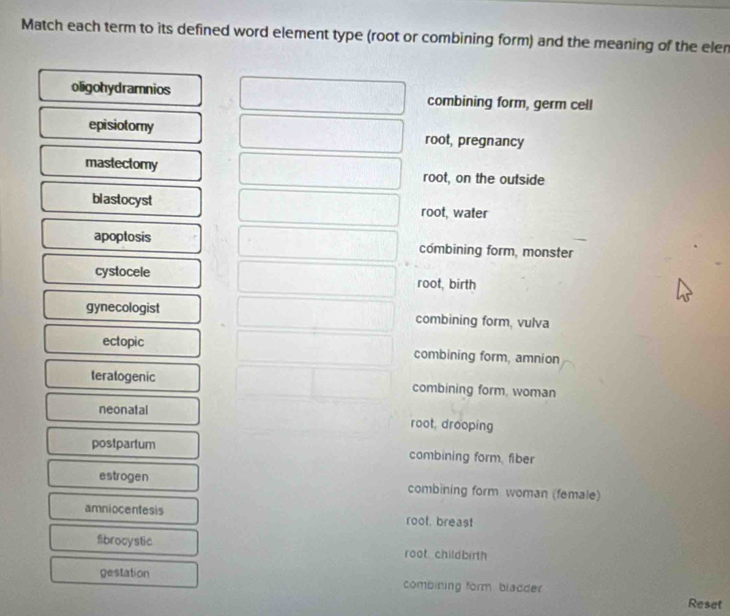Solved: Match each term to its defined word element type (root or ...