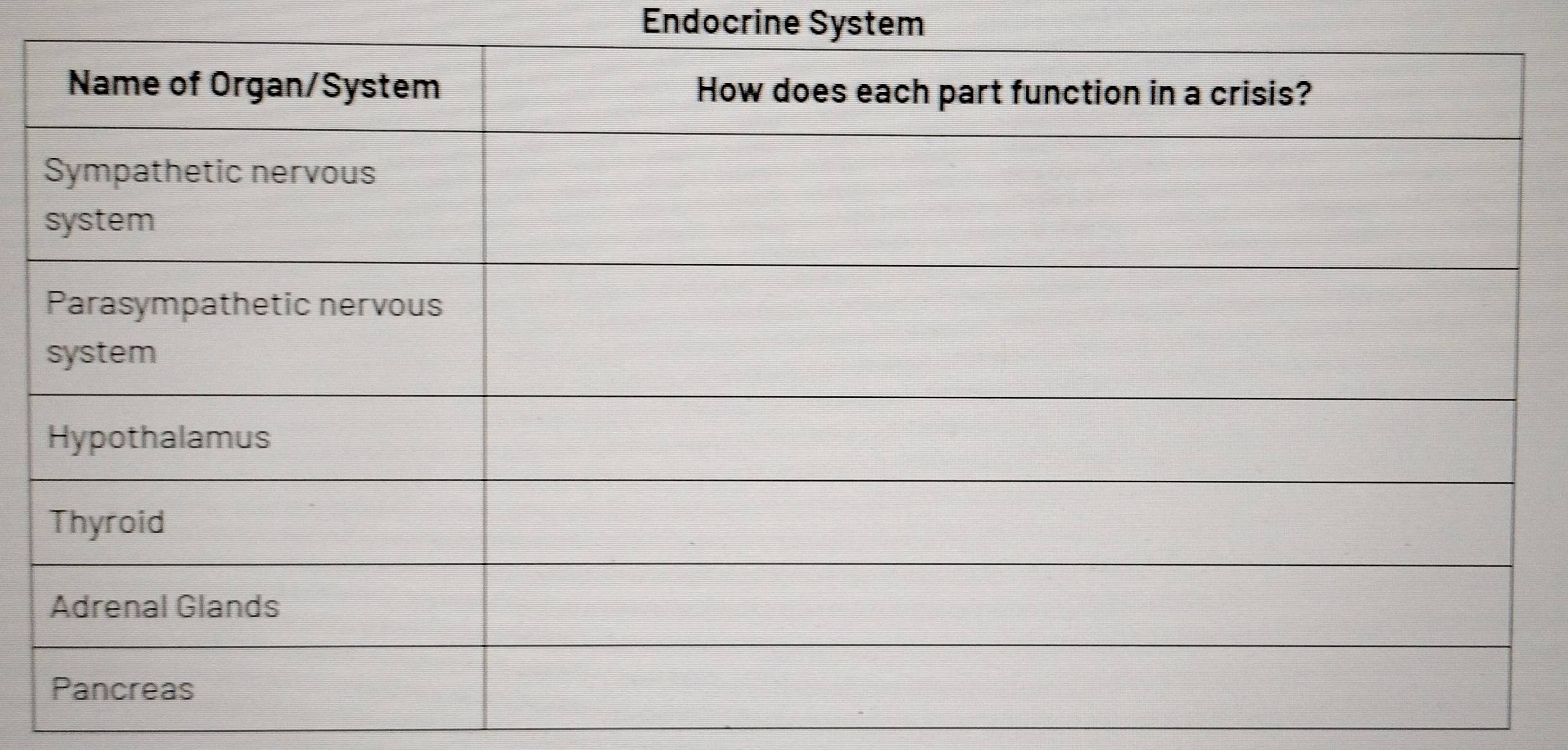 Endocrine System