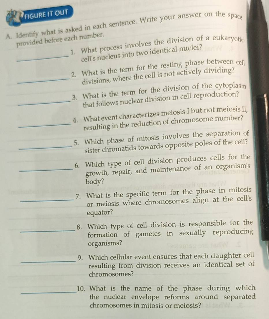 FIGURE IT OUT 
A. Identify what is asked in each sentence. Write your answer on the space 
provided before each number. 
1. What process involves the division of a eukaryotic 
_cell's nucleus into two identical nuclei? 
2. What is the term for the resting phase between cell 
_divisions, where the cell is not actively dividing? 
3. What is the term for the division of the cytoplasm 
_that follows nuclear division in cell reproduction? 
4. What event characterizes meiosis I but not meiosis II, 
_resulting in the reduction of chromosome number? 
5. Which phase of mitosis involves the separation of 
_sister chromatids towards opposite poles of the cell? 
6. Which type of cell division produces cells for the 
_growth, repair, and maintenance of an organism's 
body? 
7. What is the specific term for the phase in mitosis 
_or meiosis where chromosomes align at the cell's 
equator? 
_ 
8. Which type of cell division is responsible for the 
formation of gametes in sexually reproducing 
organisms? 
_ 
9. Which cellular event ensures that each daughter cell 
resulting from division receives an identical set of 
chromosomes? 
_ 
10. What is the name of the phase during which 
the nuclear envelope reforms around separated 
chromosomes in mitosis or meiosis?