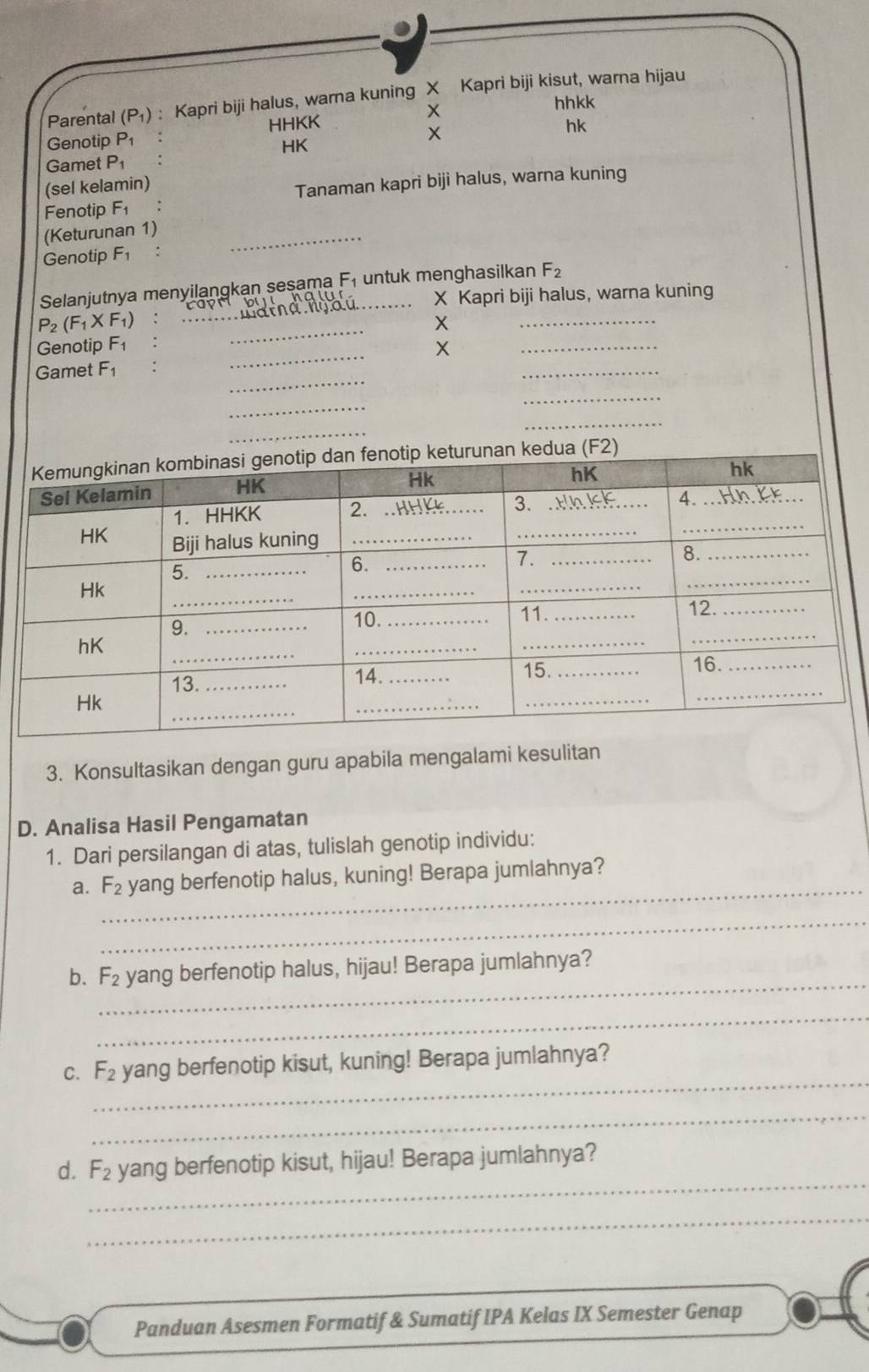 Parental (P_1) : Kapri biji halus, warna kuning X Kapri biji kisut, warna hijau
x
HHKK hhkk
hk
Genotip P_1
X
HK
Gamet P_1
(sel kelamin) 
Fenotip F_1 : Tanaman kapri biji halus, warna kuning 
(Keturunan 1)_ 
Genotip F_1 : 
Selanjutnya menyilangkan sesama F_1 _ untuk menghasilkan F_2
X Kapri biji halus, warna kuning
P_2(F_1* F_1) _ 
+ 
_ 
_ 
_ 
Genotip F_1 X_ 
_ 
Gamet F_1. 
_ 
_ 
_ 
_ 
_ 
(F2) 
3. Konsultasikan dengan guru apabila mengalami kesulitan 
D. Analisa Hasil Pengamatan 
1. Dari persilangan di atas, tulislah genotip individu: 
_ 
a. F_2 yang berfenotip halus, kuning! Berapa jumlahnya? 
_ 
_ 
b. F_2 yang berfenotip halus, hijau! Berapa jumlahnya? 
_ 
_ 
C. F_2 yang berfenotip kisut, kuning! Berapa jumlahnya? 
_ 
_ 
d. F_2 yang berfenotip kisut, hijau! Berapa jumlahnya? 
_ 
Panduan Asesmen Formatif & Sumatif IPA Kelas IX Semester Genap