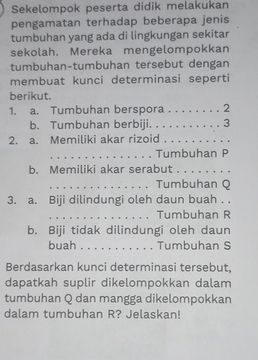 Sekelompok peserta didik melakukan 
pengamatan terhadap beberapa jenis 
tumbuhan yang ada di lingkungan sekitar 
sekolah. Mereka mengelompokkan 
tumbuhan-tumbuhan tersebut dengan 
membuat kunci determinasi seperti 
berikut. 
1. a. Tumbuhan berspora _ 2
b. Tumbuhan berbiji. _ 3
2. a. Memiliki akar rizoid_ 
_Tumbuhan P
b. Memiliki akar serabut_ 
_Tumbuhan Q
3. a. Biji dilindungi oleh daun buah . . 
_Tumbuhan R
b. Biji tidak dilindungi oleh daun 
buah _Tumbuhan S
Berdasarkan kunci determinasi tersebut, 
dapatkah suplir dikelompokkan dalam 
tumbuhan Q dan mangga dikelompokkan 
dalam tumbuhan R? Jelaskan!