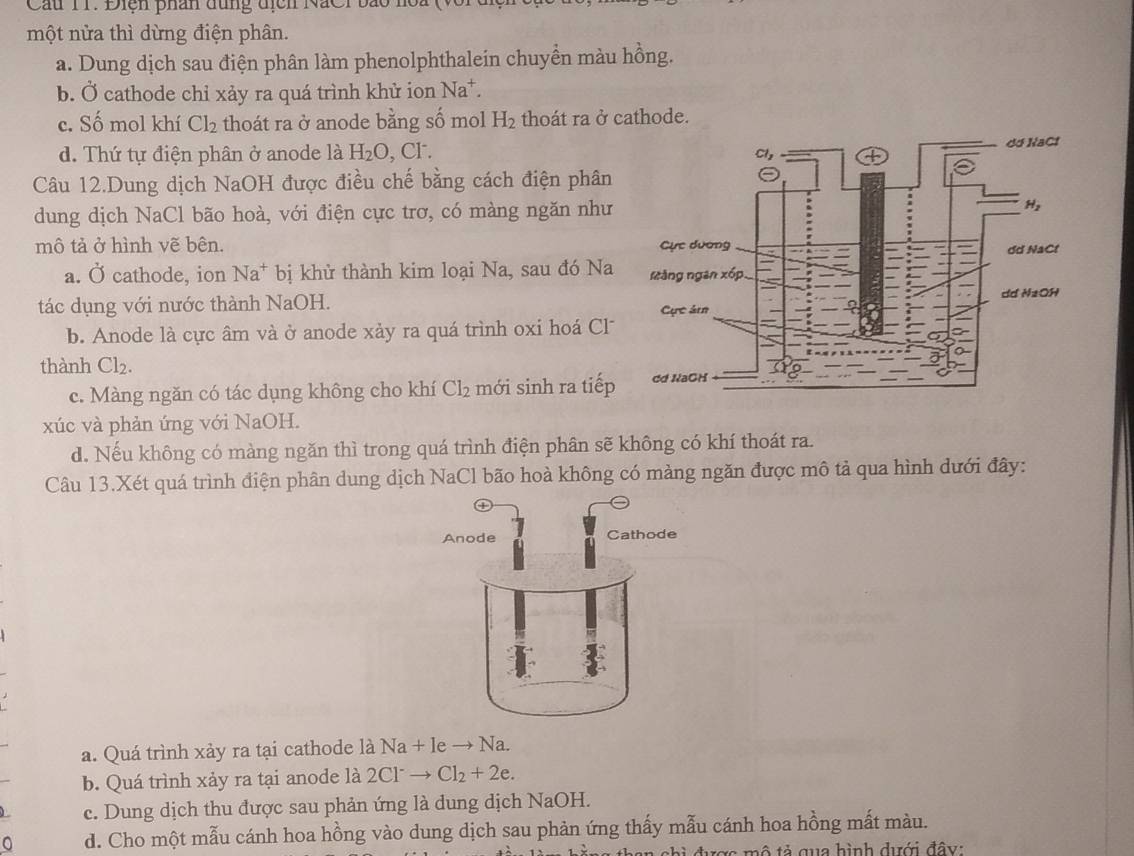 Cầu T1. Điện phân dùng địch NắCi bảo hồ
một nừa thì dừng điện phân.
a. Dung dịch sau điện phân làm phenolphthalein chuyền màu hồng.
b. Ở cathode chỉ xảy ra quá trình khử ion Na^+.
c. Số mol khí Cl_2 thoát ra ở anode bằng số mol H_2 thoát ra ở cathode.
d. Thứ tự điện phân ở anode là H_2O , Cl. 
Câu 12.Dung dịch NaOH được điều chế bằng cách điện phân
dung dịch NaCl bão hoà, với điện cực trơ, có màng ngăn như
mô tả ở hình vẽ bên.
a. Ở cathode, ion Na^+ bị khử thành kim loại Na, sau đó Na
tác dụng với nước thành NaOH.
b. Anode là cực âm và ở anode xảy ra quá trình oxi hoá Cl
thành Cl_2
c. Màng ngăn có tác dụng không cho khí Cl_2 mới sinh ra tiếp
xúc và phản ứng với NaOH.
d. Nếu không có màng ngăn thì trong quá trình điện phân sẽ không có khí thoát ra.
Câu 13.Xét quá trình điện phân dung dịch NaCl bão hoà không có màng ngăn được mô tả qua hình dưới đây:
a. Quá trình xảy ra tại cathode là Na+leto Na.
b. Quá trình xảy ra tại anode là 2Cl^-to Cl_2+2e.
c. Dung dịch thu được sau phản ứng là dung dịch NaOH.
d. Cho một mẫu cánh hoa hồng vào dung dịch sau phản ứng thấy mẫu cánh hoa hồng mất màu.
m ô tả  gua hình dưới đây :