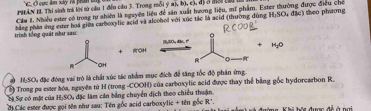 C, Ở cực âm xây ra phân ung ở 
PHÀN II. Thí sinh trả lời từ câu 1 đến câu 3. Trong mỗi ý a), b), c), d) ở mội cầu Il 
Câu 1. Nhiều ester có trong tự nhiên là nguyên liệu để sản xuất hương liệu, mĩ phẩm. Ester thường được điều chế 
bằng phản ứng ester hoá giữa carboxylic acid và alcohol với xúc tác là acid (thường dùng H_2SO_4dac) ) theo phương 
trình tổng quát như sau:
H_2SO_4dic, t°
+ H_2O
+ R'OH
R
R'
a) H_2SO_4 đặc đóng vai trò là chất xúc tác nhằm mục đích để tăng tốc độ phản ứng. 
b) Trong pu ester hóa, nguyên tử H (trong -COOH) của carboxylic acid được thay thế bằng gốc hydorcarbon R. 
) Sự có mặt của H_2SO_4 đặc làm cân bằng chuyển dịch theo chiều thuận. 
d) Các ester được gọi tên như sau: Tên gốc acid carboxylic + tên gốc R'. 
đ à đường Khi bột được đề ở nơi