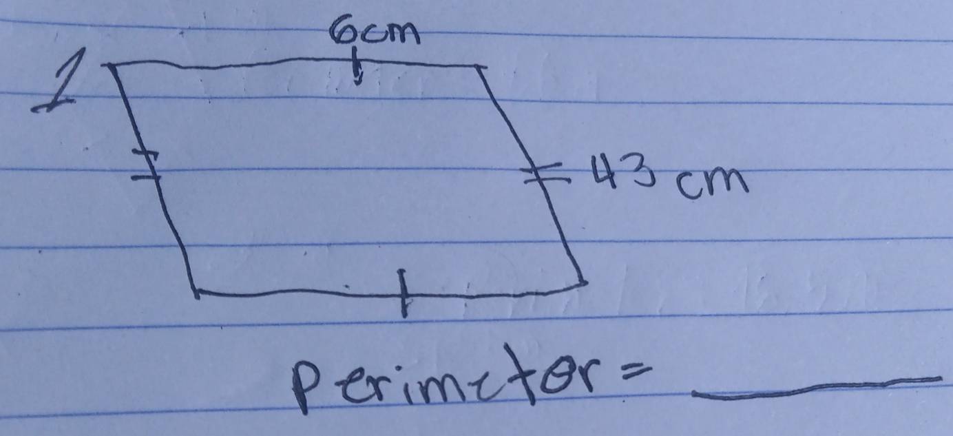 Perimetor = _