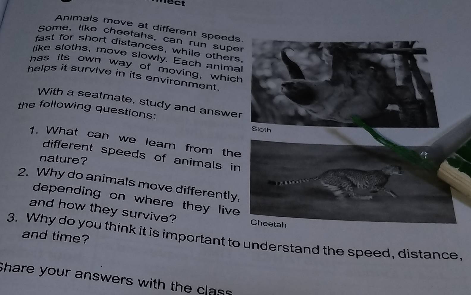 mect 
Animals move at different speeds 
Some, like cheetahs, can run supe 
fast for short distances, while others 
like sloths, move slowly. Each anima 
has its own way of moving, which 
helps it survive in its environment. 
With a seatmate, study and answer 
the following questions: 
1. What can we learn from the 
different speeds of animals in 
nature? 
2. Why do animals move differently. 
depending on where they live 
and how they survive? 
3. Why do you think it is important to understand the speed, distance, and time? 
Share your answers with the class