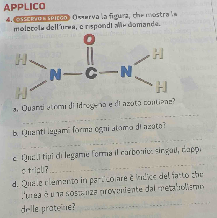 APPLICO 
4. OseRvo E spIEgo) Osserva la figura, che mostra la 
molecola dell’urea, e rispondi alle domande. 
_ 
a. Quanti atomi di idrogeno e di azoto contien 
_ 
b. Quanti legami forma ogni atomo di azoto? 
c. Quali tipi di legame forma il carbonio: singoli, doppi 
o tripli? 
_ 
d. Quale elemento in particolare è indice del fatto che 
l'urea è una sostanza proveniente dal metabolismo 
delle proteine? 
_