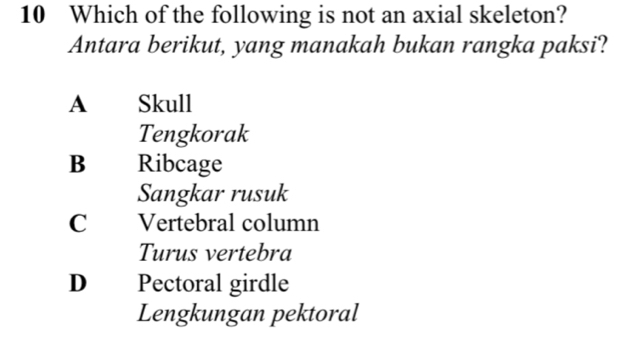 Which of the following is not an axial skeleton?
Antara berikut, yang manakah bukan rangka paksi?
A Skull
Tengkorak
B Ribcage
Sangkar rusuk
C Vertebral column
Turus vertebra
D Pectoral girdle
Lengkungan pektoral