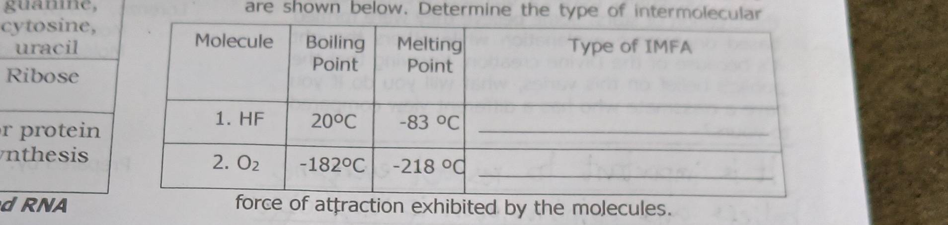 guanne, are shown below. Determine the type of intermolecular
cytosine,
uracil
Ribose
r  protein 
nthesis
d RNA  of attraction exhibited by the molecules.