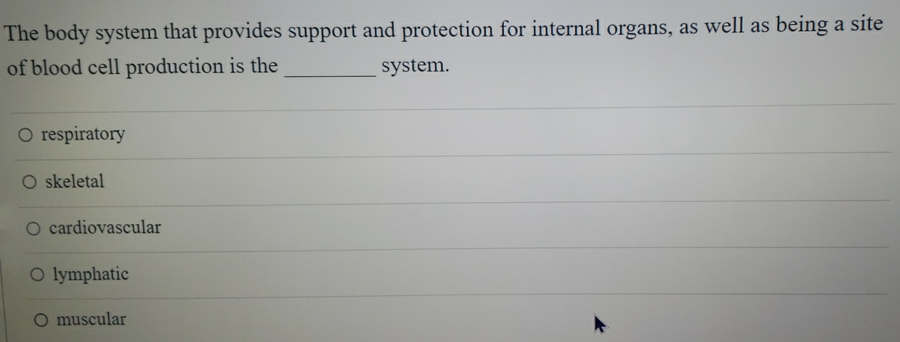 The body system that provides support and protection for internal organs, as well as being a site
of blood cell production is the _system.
respiratory
skeletal
cardiovascular
lymphatic
muscular