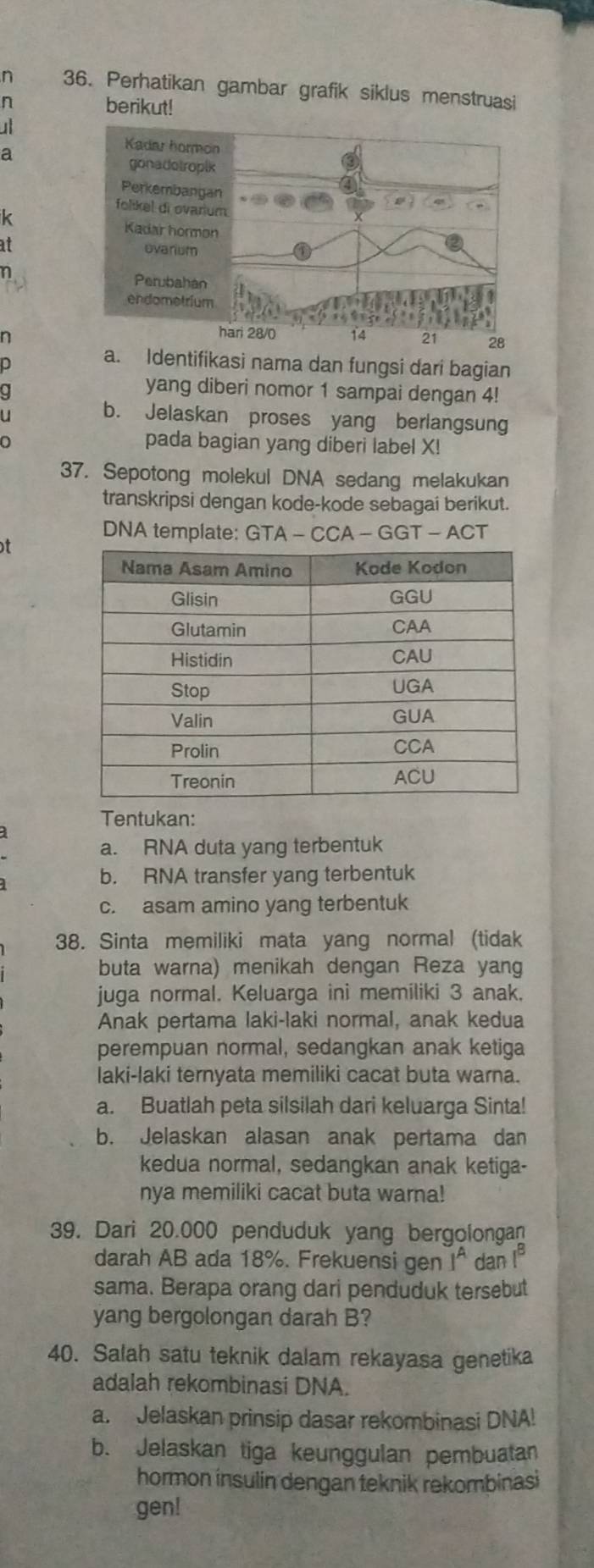 Perhatikan gambar grafik siklus menstruasi 
n berikut! 
u 
a
k
at
n
n
a. Identifikasi nama dan fungsi dari bagian 
yang diberi nomor 1 sampai dengan 4! 
b. Jelaskan proses yang berlangsung 
a 
pada bagian yang diberi label X! 
37. Sepotong molekul DNA sedang melakukan 
transkripsi dengan kode-kode sebagai berikut. 
DNA template: GTA - CCA - GGT - ACT 
t 
Tentukan: 
a. RNA duta yang terbentuk 
b. RNA transfer yang terbentuk 
c. asam amino yang terbentuk 
38. Sinta memiliki mata yang normal (tidak 
buta warna) menikah dengan Reza yang 
juga normal. Keluarga ini memiliki 3 anak. 
Anak pertama laki-laki normal, anak kedua 
perempuan normal, sedangkan anak ketiga 
laki-laki ternyata memiliki cacat buta warna. 
a. Buatlah peta silsilah dari keluarga Sinta! 
b. Jelaskan alasan anak pertama dan 
kedua normal, sedangkan anak ketiga- 
nya memiliki cacat buta warna! 
39. Dari 20.000 penduduk yang bergolongan 
darah AB ada 18%. Frekuensi gen I^A dan 1^8
sama. Berapa orang dari penduduk tersebut 
yang bergolongan darah B? 
40. Salah satu teknik dalam rekayasa genetika 
adalah rekombinasi DNA. 
a. Jelaskan prinsip dasar rekombinasi DNA! 
b. Jelaskan tiga keunggulan pembuatan 
hormon insulin dengan teknik rekombinasi 
gen!