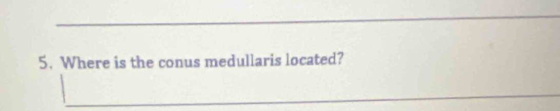 Where is the conus medullaris located? 
_