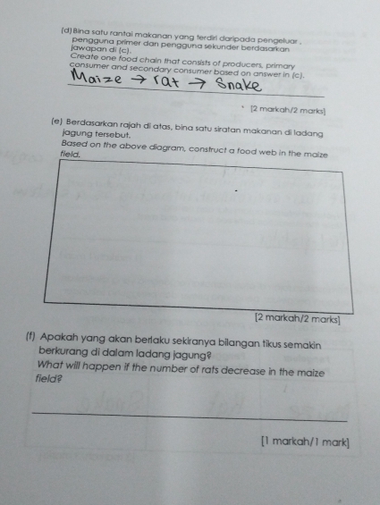 Bina satu rantai makanan yang terdirl daripada pengeluar. 
jawapan di (c). pengguna primer dan pengguna sekunder berdasarkan 
Create one food chain that consists of producers, primary 
cansumer and secondary consumer based on answer in (c). 
[2 markah/2 marks] 
(e) Berdasarkan rajah di atas, bina satu siratan makanan di ladang 
jagung tersebut. 
Based on the above diagram, construct a food web in the maize 
field. 
[2 markah/2 marks] 
(f) Apakah yang akan berlaku sekiranya bilangan tikus semakin 
berkurang di dalam ladang jagung? 
What will happen if the number of rats decrease in the maize 
field? 
_ 
[1 markah/1 mark]