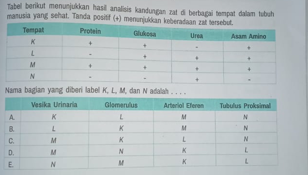 Tabel berikut menunjukkan hasil analisis kandungan zat di berbagai tempat dalam tubuh 
manusia yang sehat. Tanda positif (+) menun 
Nama bagian yang diberi label K, L, M, dan N adalah . . . .