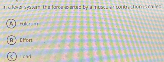 In a lever system, the force exerted by a muscular contraction is called_
A Fulcrum
B  Effort
C Load