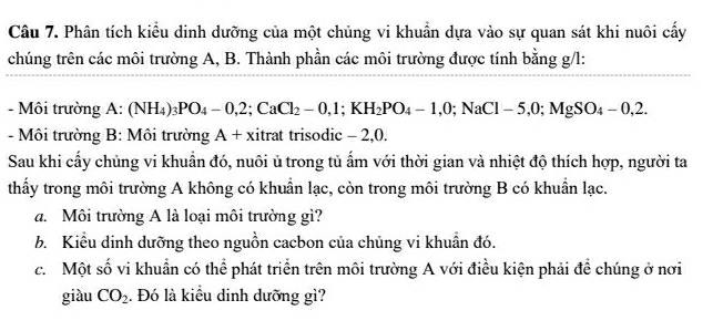 Phân tích kiểu dinh dưỡng của một chủng vi khuẩn dựa vào sự quan sát khi nuôi cấy 
chúng trên các môi trường A, B. Thành phần các môi trường được tính bằng g/l: 
- Môi trường A:(NH_4)_3PO_4-0,2; CaCl_2-0, 1; KH_2PO_4-1, 0; NaCl-5, 0; MgSO_4-0,2. 
- Môi trường B: Môi trường A+ xitrat trisodic - 2, 0. 
Sau khi cấy chủng vi khuẩn đó, nuôi ủ trong tủ ẩm với thời gian và nhiệt độ thích hợp, người ta 
thấy trong môi trường A không có khuẩn lạc, còn trong môi trường B có khuẩn lạc. 
d. Môi trường A là loại môi trường gì? 
b. Kiểu dinh dưỡng theo nguồn cacbon của chủng vi khuẩn đó. 
c. Một số vi khuẩn có thể phát triển trên môi trường A với điều kiện phải đề chúng ở nơi 
giàu CO_2. Đó là kiểu dinh dưỡng gì?