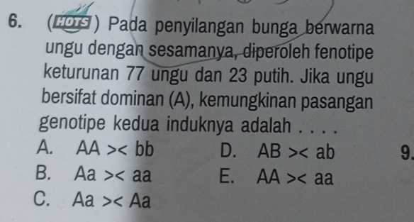 (LOS) Pada penyilangan bunga berwarna
ungu dengan sesamanya, diperoleh fenotipe
keturunan 77 ungu dan 23 putih. Jika ungu
bersifat dominan (A), kemungkinan pasangan
genotipe kedua induknya adalah . . ..
A. AA> D. AB> 9.
B. Aa> E. AA>
C. Aa>