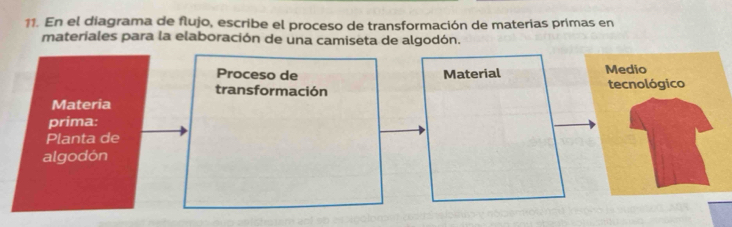 En el diagrama de flujo, escribe el proceso de transformación de materias primas en 
materiales para la elaboración de una camiseta de algodón. 
Proceso de Material Medio 
transformación tecnológico 
Materia 
prima: 
Planta de 
algodón