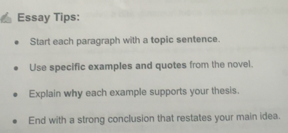Solved: Essay Tips: Start each paragraph with a topic sentence. Use ...
