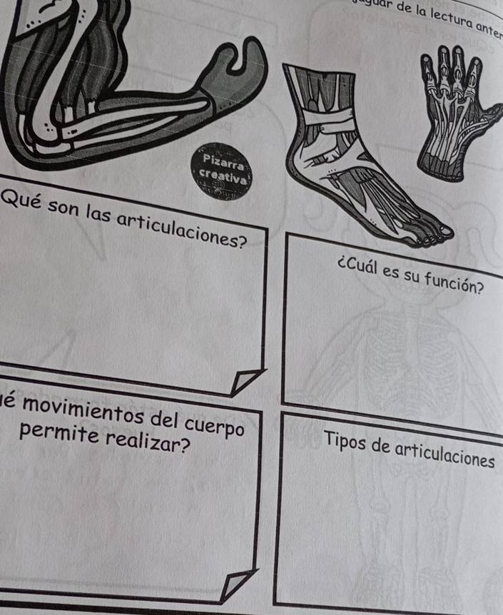 rg uar de la lectura ante 
P izarra 
creativa 
Qué son las articulaciones? ¿Cuál es su función? 
é movimientos del cuerpo Tipos de articulaciones 
permite realizar?