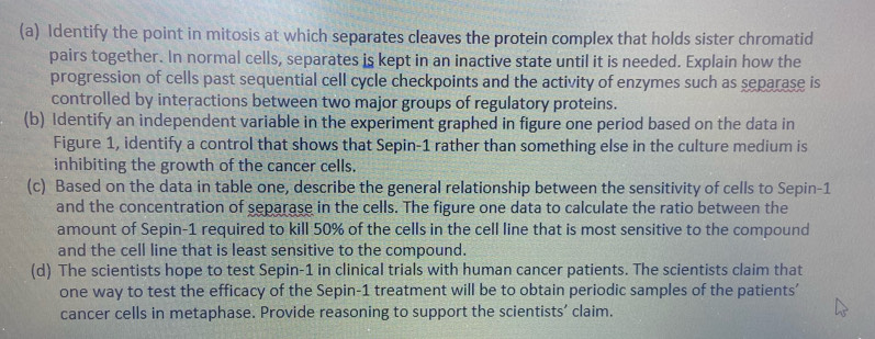 Identify the point in mitosis at which separates cleaves the protein complex that holds sister chromatid 
pairs together. In normal cells, separates is kept in an inactive state until it is needed. Explain how the 
progression of cells past sequential cell cycle checkpoints and the activity of enzymes such as separase is 
controlled by interactions between two major groups of regulatory proteins. 
(b) Identify an independent variable in the experiment graphed in figure one period based on the data in 
Figure 1, identify a control that shows that Sepin-1 rather than something else in the culture medium is 
inhibiting the growth of the cancer cells. 
(c) Based on the data in table one, describe the general relationship between the sensitivity of cells to Sepin-1 
and the concentration of separase in the cells. The figure one data to calculate the ratio between the 
amount of Sepin-1 required to kill 50% of the cells in the cell line that is most sensitive to the compound 
and the cell line that is least sensitive to the compound. 
(d) The scientists hope to test Sepin-1 in clinical trials with human cancer patients. The scientists claim that 
one way to test the efficacy of the Sepin-1 treatment will be to obtain periodic samples of the patients’ 
cancer cells in metaphase. Provide reasoning to support the scientists' claim.