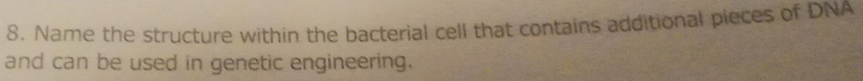 Name the structure within the bacterial cell that contains additional pieces of DNA 
and can be used in genetic engineering.