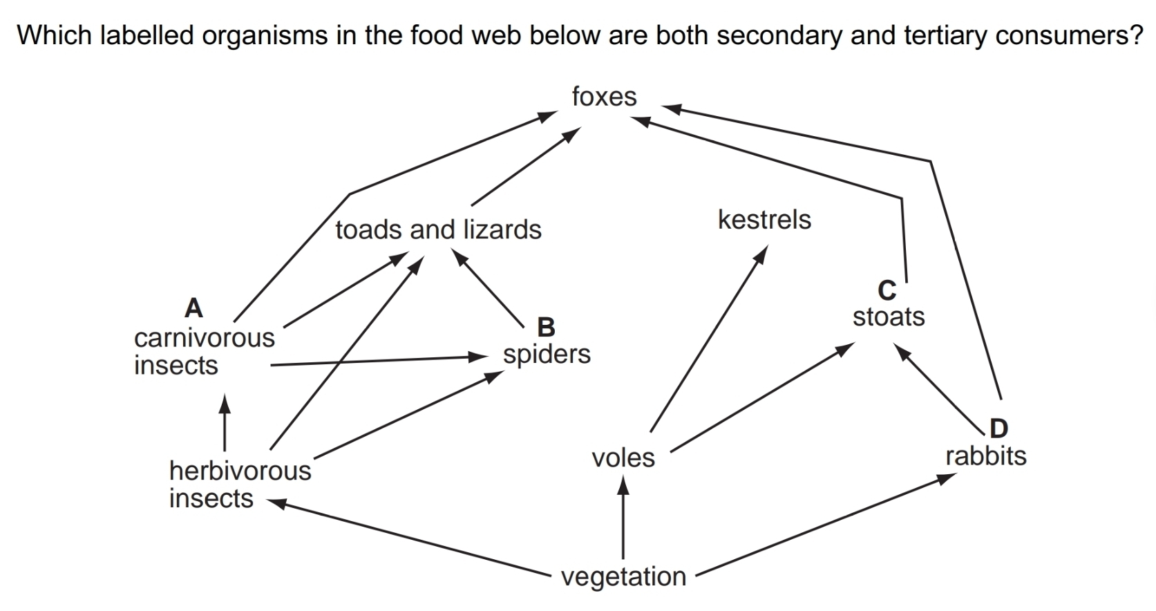 Which labelled organisms in the food web below are both secondary and tertiary consumers?