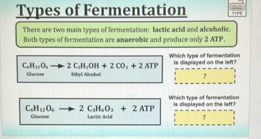 Solved: Types of Fermentation TYPE There are two main types of ...