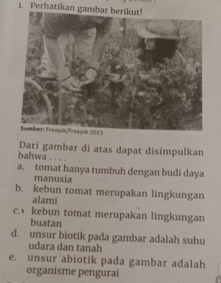 Perhatikan gambar berikut!
Dari gambar di atas dapat disimpulkan
bahwa . . . .
a. tomat hanya tumbuh dengan budi daya
manusia
b. kebun tomat merupakan lingkungan
alami
c. kebun tomat merupakan lingkungan
buatan
d. unsur biotik pada gambar adalah suhu
udara dan tanah
e. unsur abiotik pada gambar adalah
organisme pengurai