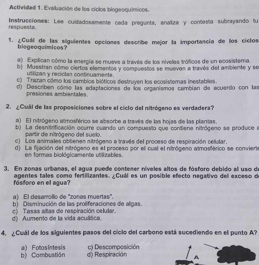 Actividad 1. Evaluación de los ciclos biogeoquímicos.
Instrucciones: Lee cuidadosamente cada pregunta, analiza y contesta subrayando tu
respuesta.
1. ¿Cuál de las siguientes opciones describe mejor la importancia de los ciclos
biogeoquímicos?
a) Explican cómo la energía se mueve a través de los niveles tróficos de un ecosistema.
b) Muestran cómo ciertos elementos y compuestos se mueven a través del ambiente y se
utilizan y recicIan continuamente.
c) Trazan cómo los cambios bióticos destruyen Ios ecosistemas inestables.
d) Describen cómo las adaptaciones de Íos organismos cambian de acuerdo con las
presiones ambientales.
2. ¿Cuál de las proposiciones sobre el ciclo del nitrógeno es verdadera?
a) El nitrógeno atmosférico se absorbe a través de las hojas de las plantas.
b) La desnitrificación ocurre cuando un compuesto que contiene nitrógeno se produce a
partir de nitrógeno del suelo.
c) Los animales obtienen nitrógeno a través del proceso de respiración celular.
d) La fijación del nitrógeno es el proceso por el cual el nitrógeno atmosférico se convierte
en formas biológicamente utilizables.
3. En zonas urbanas, el agua puede contener niveles altos de fósforo debido al uso de
agentes tales como fertilizantes. ¿Cuál es un posible efecto negativo del exceso de
fósforo en el agua?
a) El desarrollo de 'zonas muertas".
b) Disminución de las proliferaciones de algas.
c) Tasas altas de respiración celular.
d) Aumento de la vida acuática.
4. ¿Cuál de los siguientes pasos del ciclo del carbono está sucediendo en el punto A?
a) Fotosíntesis c) Descomposición
b) Combustión d) Respiración