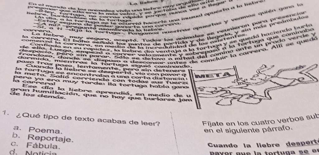 La liabra
En el mundo de los animales vivía una liebre muy orgulas
pregonor gue ella era la más veloz, y se jostaba de ella aita
i H ey, for tuga, no corras rápido porque nunca vas a legar  a
Un día, a la tortuga se le ocurrió hacerie una inusual opuesta a la lisbre
li e bre, burlándose de la tortug  a 
-Si, a ti -dijo la tortuga - Pongamas nuestas apuestas y veamos quién gana la
Es foy segura de poder canate una carrera
La liebre, muy segura, aceptó. Todos los animales se reunieron para presención
CA mi?  -pregunt asombrada la liebre
la carrera. El baho señoló los puntas de partida y de llegada, y sin más preámbulos
arera.
Confiada en su rapídez, la liebre dia ventaja a la tortuga y se quedó hacienda burla
comenzó la correra, en medio de la incredulidad de los asistentes
de ella. Luego, empezó a correr velozmente y sobrepasó a la tortuga que caminaba
despacio, peró sin parar. Sólo se detuvo a mitad del camino ante un prado verde y
frondoso, donde se dispuso a desconsar antes de concluir la carrera. Alli se quedó
cormida, mientras la tortuga siguió caminando,
paso tras paso, lentamente, pero sin detener
Cuando la liebre se despertó, vio con pavor 
la tortuga se encontraba a una corta distanci
la meta. Salió corriendo con todas sus fuer
pero ya era muy tarde: lla tortuga había ga
la carreral Ese día la liebre aprendió, en medio de
gran humillación, que no hay que burlarse j
de los demás.
1. ¿Qué tipo de texto acabas de leer?
Fijate en los cuatro verbos sub
a. Poema. en el siguiente párrafo.
b. Reportaje.
c. Fábula.
Cuando la liebre despert
d. Noticia  pavor gue la tortuga se er