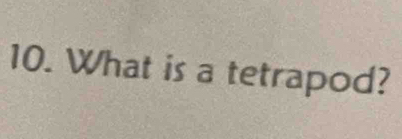 What is a tetrapod?