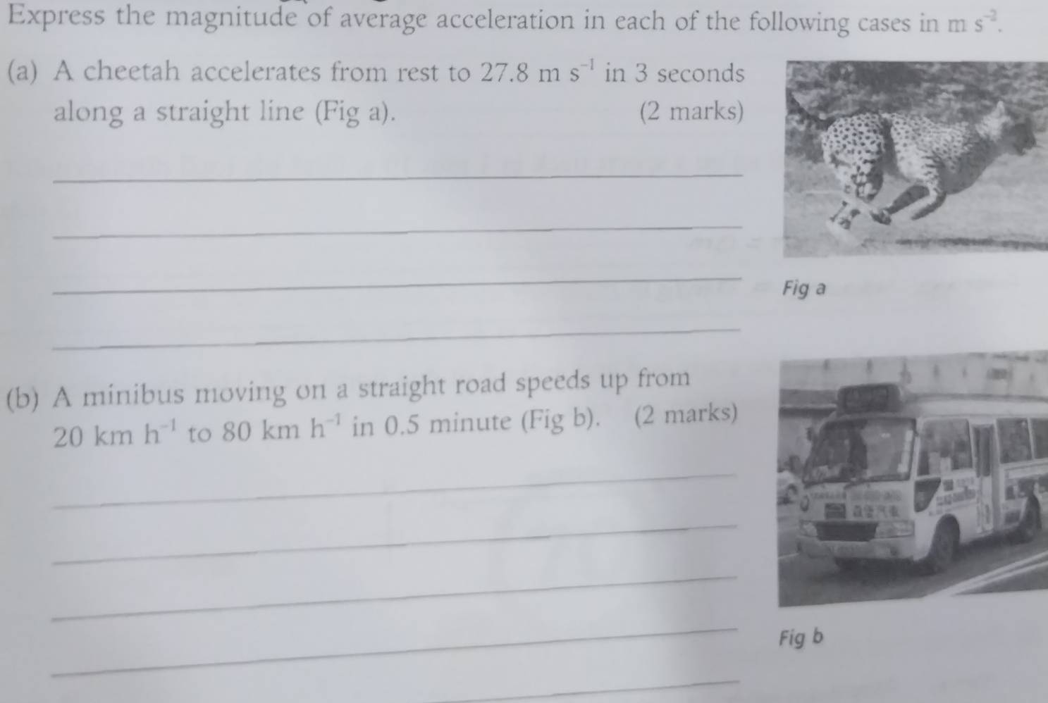 Express the magnitude of average acceleration in each of the following cases in m s^(-2). 
(a) A cheetah accelerates from rest to 27.8ms^(-1) in 3 seconds
along a straight line (Fig a). (2 marks) 
_ 
_ 
_ 
Fig a 
_ 
(b) A minibus moving on a straight road speeds up from
20kmh^(-1) to 80kmh^(-1) in 0.5 minute (Fig b). (2 marks) 
_ 
_ 
_ 
_ 
Fig b 
_