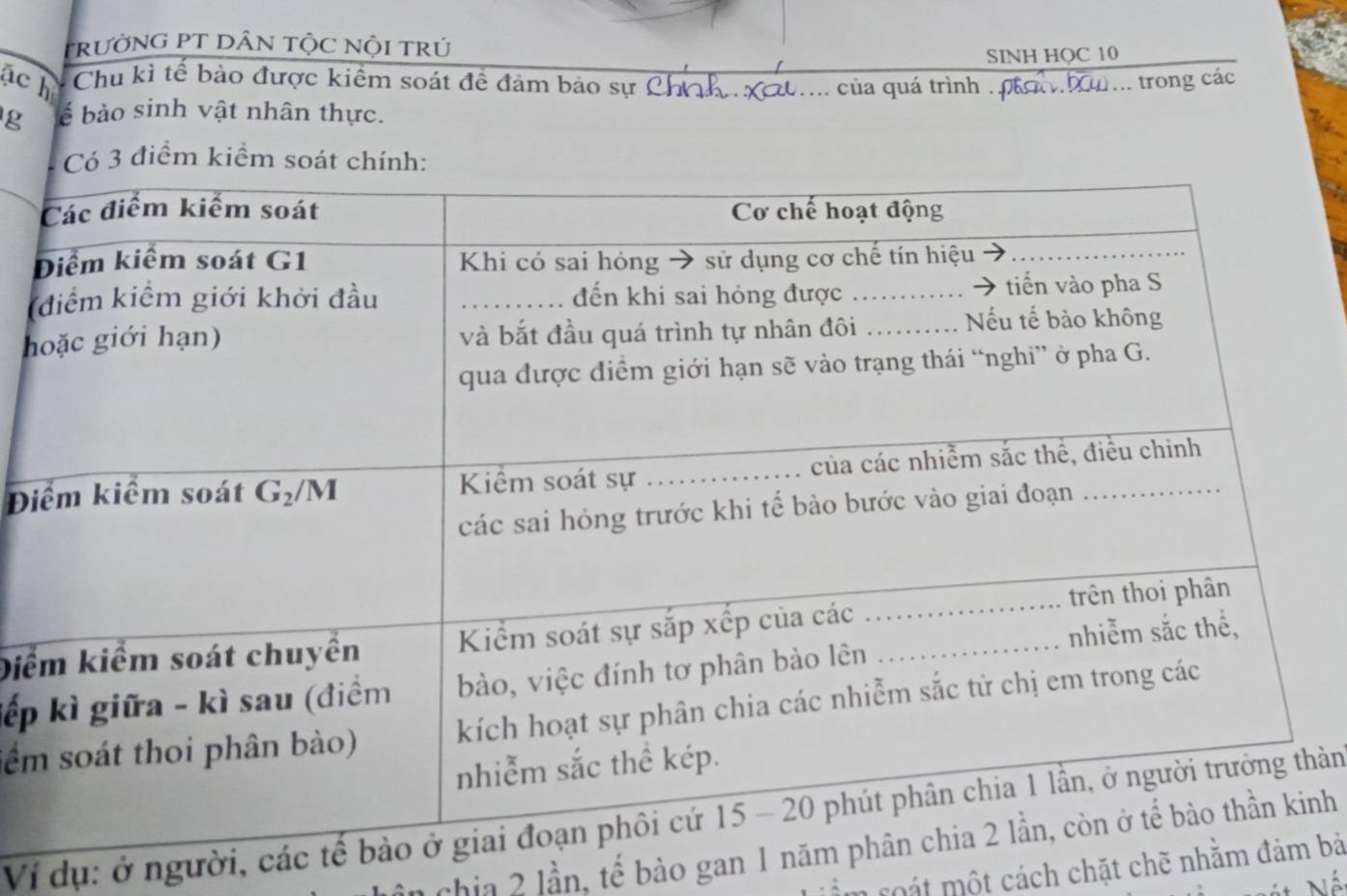 TrưỜNG PT DÂN TỘC NộI Trú
SINH HQC 10
ác h Chu kì tế bào được kiểm soát đề đảm bảo sự Chah Xc.... của quá trình . pa  Xu... trong các
g é bào sinh vật nhân thực.
3 điểm kiểm soát
(
h
Đi
Điể
kếp
sểm
Ví dụ: ở người, các hản
chia 2 lần, tế bào gan 1 nănh
Âm soát một cách chặt chẽ nhă bả