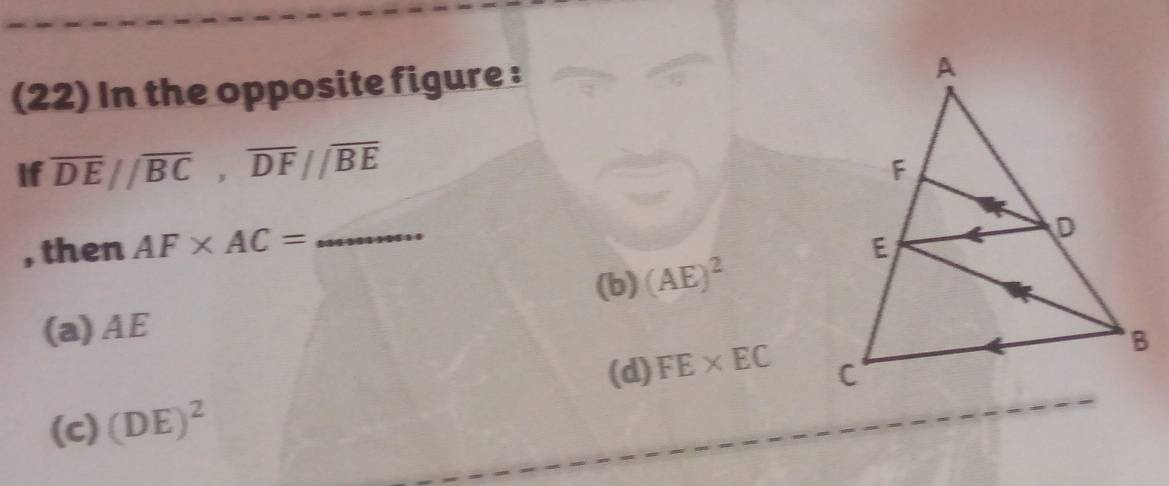 (22) In the opposite figure :
If overline DE//overline BC, overline DF//overline BE
, then AF* AC= _  19999993
(b) (AE)^2
(a) AE
(d) FE* EC
(c) (DE)^2