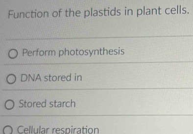 Function of the plastids in plant cells. 
Perform photosynthesis 
DNA stored in 
Stored starch 
Cellular respiration