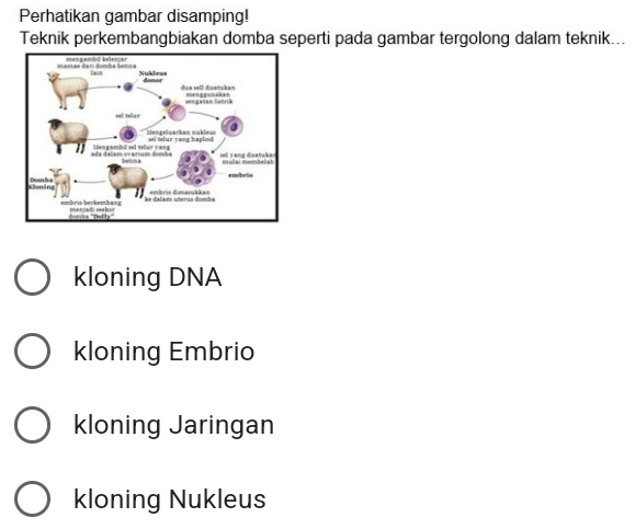 Perhatikan gambar disamping!
Teknik perkembangbiakan domba seperti pada gambar tergolong dalam teknik...
kloning DNA
kloning Embrio
kloning Jaringan
kloning Nukleus