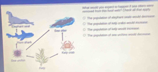 What would you expect to happen if sea otters were
removed from this tood wet? Check aill that apply.
The population of elephars seals would decrease
The population ot kelp craibs would incrrase.
The population of kelp would increase.
The population of sea urchins would decrease.