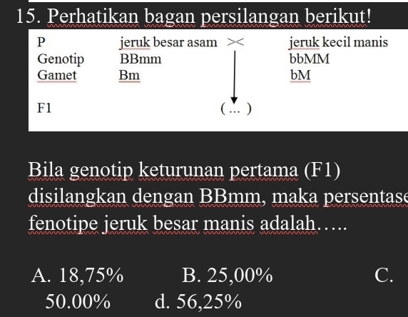 Perhatikan bagan persilangan berikut!
P jeruk besar asam × jeruk kecil manis
Genotip BBmm bbMM
Gamet Bm bM
F1
( )
Bila genotip keturunan pertama (F1)
disilangkan dengan BBmm, maka persentase
fenotipe jeruk besar manis adalah….
A. 18,75% B. 25,00% C.
50.00% d. 56,25%