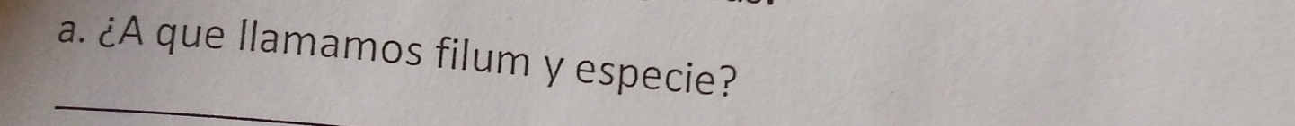 ¿A que llamamos filum y especie?