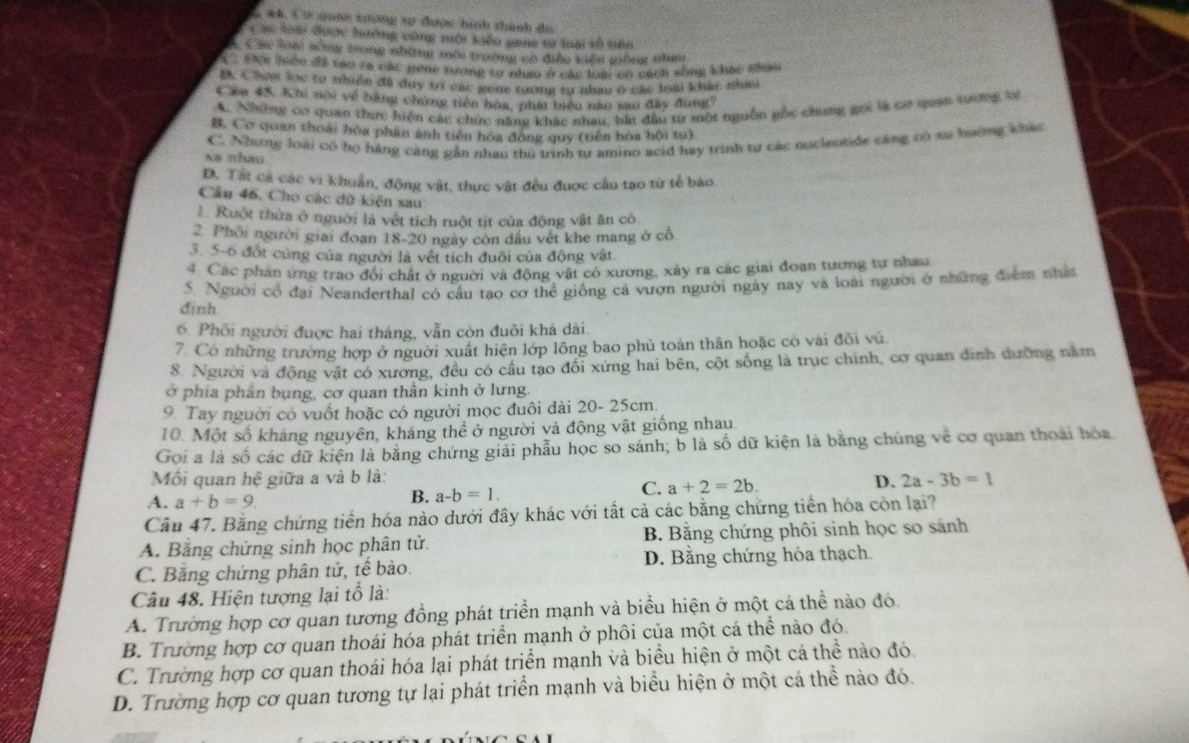 #4. C 2 quah cương tự được hình thành do
*  Cá loới được hưởng cùng một kiểu gane sử toa tổ tên
A. Các loi sống trong những môi trường có điều viện giống nhau
C  Điệi biển đã tạo ta các genh tương tư nhao ở các loài có cách sống khác thau
B. Chơn lọc tự nhiên đã duy trí các gọne tương tự nhau ở các loài khác nhah
Cầm 45. Khi nói về bằng chứng tiên hóa, phát biểu nào sau đây đụng7
A. Những có quan thực hiện các chức năng khác nhau, bắt đầu từ một nguồn gốc chung gọi là cơ quan tướng tự
B. Cơ quan thoái hóa phân ảnh tiên hóa động quy (tiên bóa hội tu)
C. Nhưng loài có họ hàng cáng gần nhau thủ trình tự amino acid hay trình tự các nucleotide cáng có su hường khác
xa nhau
D. Tất cả các vi khuẩn, động vật, thực vật đều được cầu tạo từ tế bào
Cầu 46. Cho các dữ kiện sau
Ruột thừa ở người là vết tích ruột tịt của động vật ăn có
2 Phối người giai đoạn 18-20 ngày còn đầu vết khe mang ở cổ
3. 5-6 đốt cùng của người là vết tích đuôi của động vật
4. Các phân ứng trao đổi chất ở người và động vật có xương, xảy ra các giai đoạn tương tự nhau
5. Người cổ đại Neanderthal có cầu tạo cơ thể giống cả vượn người ngày nay và loài người ở những điểm nhấ
định
6. Phối người được hai tháng, vẫn còn đuôi khá dài.
7. Có những trường hợp ở người xuất hiện lớp lông bao phủ toàn thân hoặc có vài đôi vú
8. Người và động vật có xương, đều có cầu tạo đối xứng hai bên, cột sống là trục chính, cơ quan dình dưỡng năm
ở phía phần bụng, cơ quan thần kinh ở lưng.
9 Tay người có vuốt hoặc có người mọc đuôi dài 20- 25cm.
10. Một số kháng nguyên, kháng thể ở người và động vật giống nhau.
Goi a là số các dữ kiện là bằng chứng giải phẫu học so sánh; b là số dữ kiện là bằng chúng về cơ quan thoái hoa
Mối quan hệ giữa a và b là: 2a-3b=1
A. a+b=9
B. a-b=1.
C. a+2=2b.
D.
Câu 47. Bằng chứng tiến hóa nào dưới đây khác với tất cả các bằng chứng tiền hóa còn lại?
A. Băng chứng sinh học phân tử. B. Bằng chứng phôi sinh học so sánh
C. Băng chứng phân tử, tế bào. D. Bằng chứng hóa thạch
Câu 48. Hiện tượng lại tổ là:
A. Trường hợp cơ quan tương đồng phát triển mạnh và biểu hiện ở một cá thể nào đó.
B. Trường hợp cơ quan thoái hóa phát triển mạnh ở phôi của một cá thể nào đó.
C. Trường hợp cơ quan thoái hóa lại phát triển mạnh và biểu hiện ở một cá thể nào đó.
D. Trường hợp cơ quan tương tự lại phát triển mạnh và biểu hiện ở một cá thể nào đó.