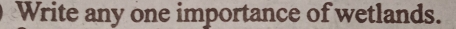Write any one importance of wetlands.
