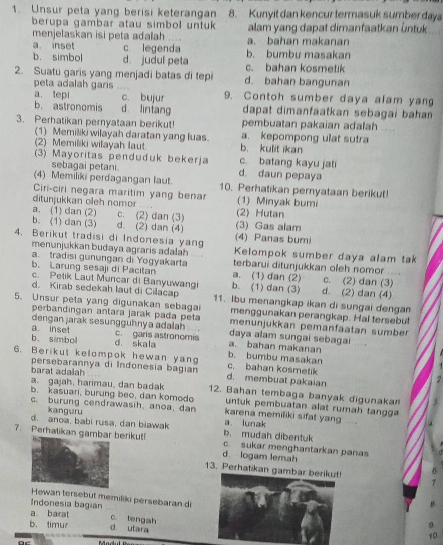 Unsur peta yang berisi keterangan 8. Kunyit dan kencur termasuk sumber daya
berupa gambar atau simbol untuk alam yang dapat dimanfaatkan untuk
menjelaskan isi peta adalah .... a. bahan makanan
a. inset c. legenda b. bumbu masakan
b. simbol d. judul peta
c. bahan kosmetik
2. Suatu garis yang menjadi batas di tepi d. bahan bangunan
peta adalah garis
a. tepi c. bujur
9. Contoh sumber daya alam yang
b. astronomis d. lintang dapat dimanfaatkan sebagai bahan 
3. Perhatikan pernyataan berikut! pembuatan pakaian adalah    
(1) Memiliki wilayah daratan yang luas. a. kepompong ulat sutra
(2) Memiliki wilayah laut. b. kulit ikan
(3) Mayoritas penduduk bekerja c. batang kayu jati
sebagai petani. d. daun pepaya
(4) Memiliki perdagangan laut. 10. Perhatikan pernyataan berikut!
Ciri-ciri negara maritim yang benar (1) Minyak bumi
ditunjukkan oleh nomor
a. (1) dan (2) c. (2) dan (3) (2) Hutan
b. (1) dan (3) d. (2) dan (4) (3) Gas alam
(4) Panas bumi
4. Berikut tradisi di Indonesia yang Kelompok sumber daya alam tak
menunjukkan budaya agraris adalah ....
a. tradisi gunungan di Yogyakarta terbarui ditunjukkan oleh nomor
b. Larung sesaji di Pacitan a. (1) dan (2) c. (2) dan (3)
c. Petik Laut Muncar di Banyuwangi b. (1) dan (3) d. (2) dan (4)
d. Kirab sedekah laut di Cilacap 11. Ibu menangkap ikan di sungai dengan
5. Unsur peta yang digunakan sebagai menggunakan perangkap. Hal tersebut
perbandingan antara jarak pada peta menunjukkan pemanfaatan sumber
dengan jarak sesungguhnya adalah ... daya alam sungai sebagai ....
a. inset c. garis astronomis a. bahan makanan
b. simbol d. skala b. bumbu masakan
6. Berikut kelompok hewan yang c. bahan kosmetik
.
barat adalah
persebarannya di Indonesia bagian d. membuat pakaian
2
a. gajah, harimau, dan badak 12. Bahan tembaga banyak digunakan
b. kasuari, burung beo, dan komodo untuk pembuatan alat rumah tangga
c. burung cendrawasih, anoa, dan karena memiliki sifat yang
kanguru a lunak
d. anoa, babi rusa, dan biawak b. mudah dibentuk
7. Perhatikan gamerikut! c. sukar menghantarkan panas
d. logam lemah
6
13. Perhatikan gambar berikut! 7
Hewan tersebut memiliki persebaran di
Indonesia bagian
B.
a barat9.
c. tengah
b. timur d utara
10