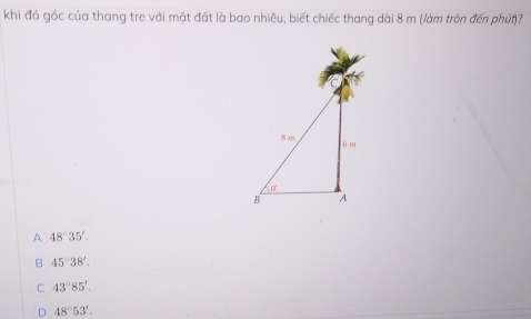 khi đó góc của thang tre với mặt đất là bao nhiêu, biết chiếc thang dài 8 m (/àm tròn đến phút)?
A 48°35'.
B 45°38'.
C 43°85'.
48°53'.