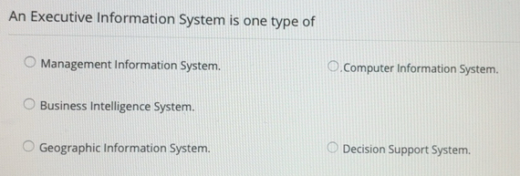 Solved: An Executive Information System is one type of Management ...